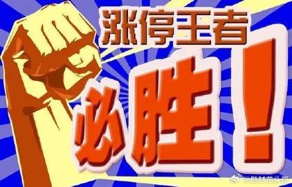 全车改装套件 第9页